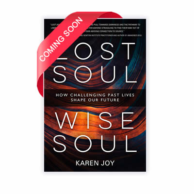 Lost Soul Wise Soul Book Karen Joy